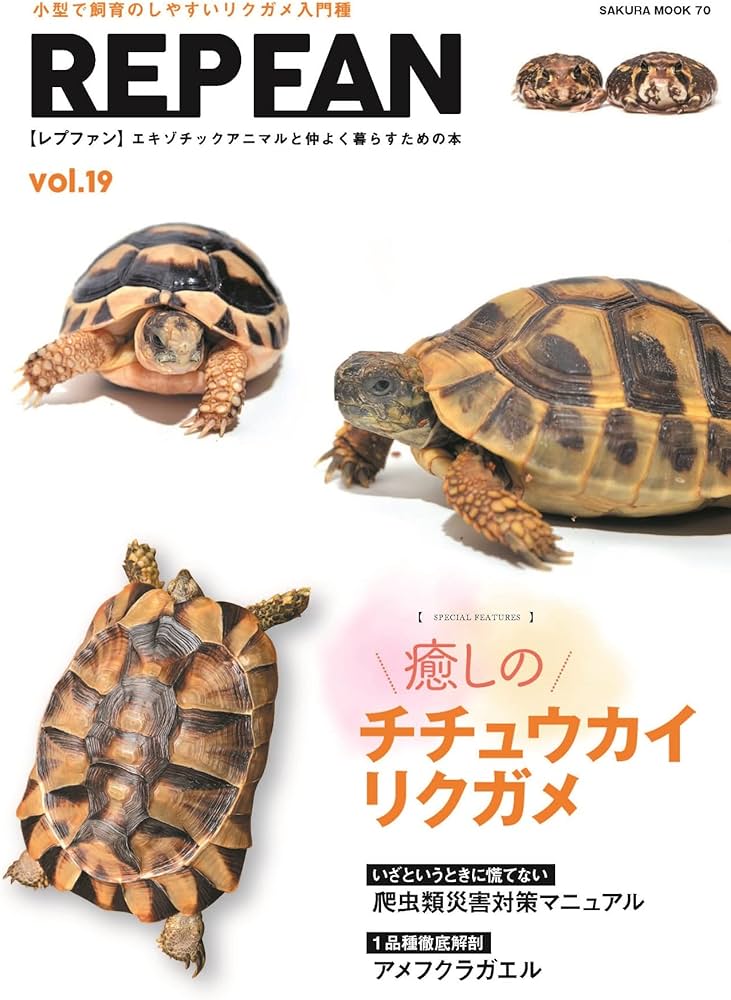 REP FAN レプファン vol.19 (SAKURA MOOK) | 笠倉出版社 |本 | 通販