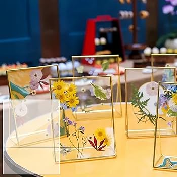 DUSTCELL アートカードセット アクリル板付き DUSTCELL】6周年記念