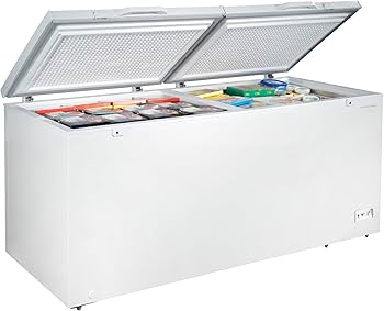 Amazon.com: Hamilton Beach HBFRF2129 21 cu ft Double Door LID