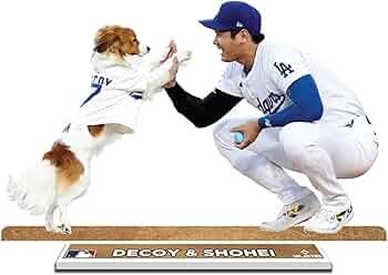 71AoW9gIKEL._AC_UF350,