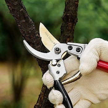 Amazon | Rich Reach 園芸用はさみ 剪定バサミ 剪定鋏 L-215 SK85炭素