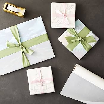 スティール &シェード ：ペーパーバック 2011/3/22 スティール