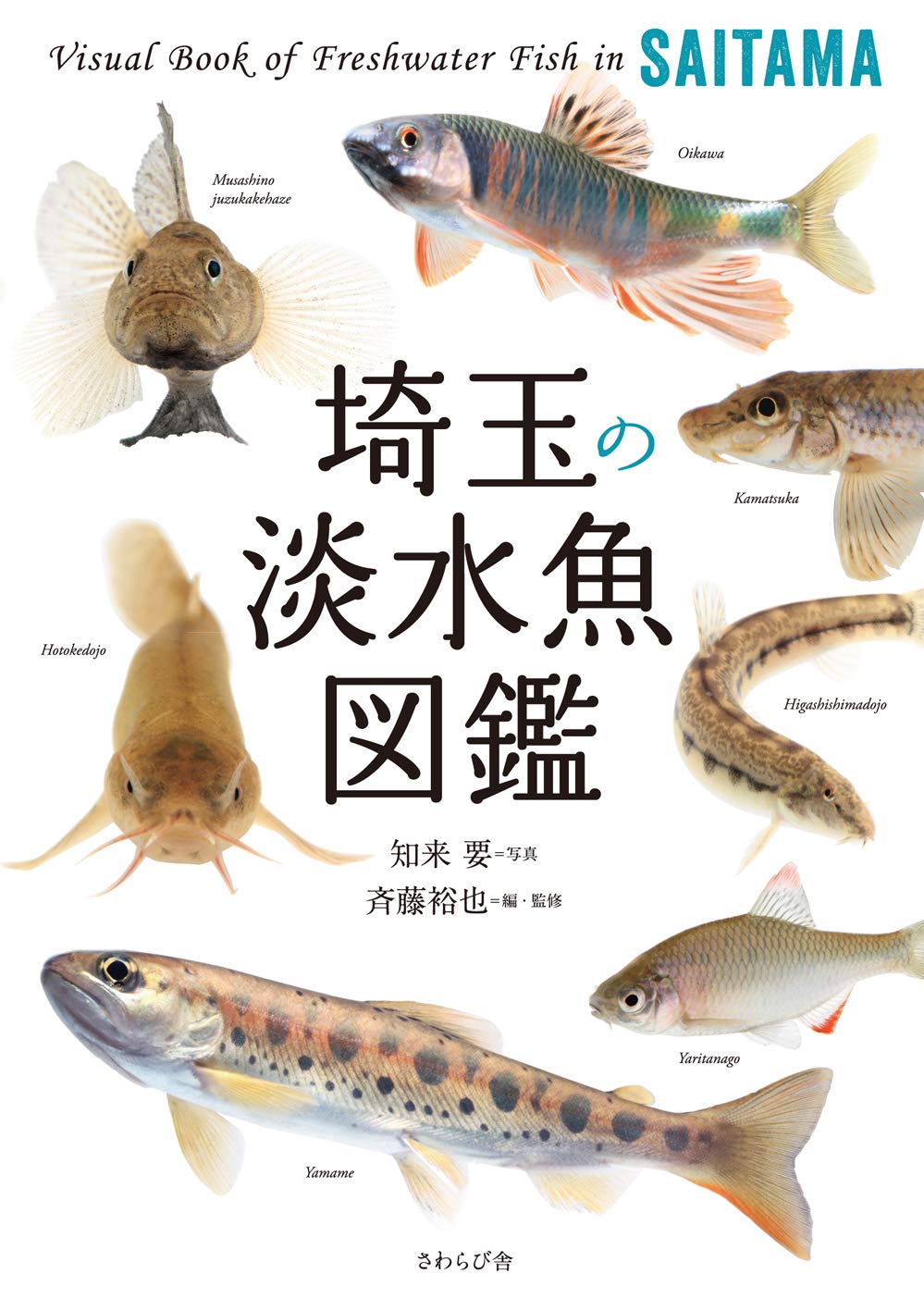 埼玉の淡水魚図鑑 | 知来 要, 斉藤 裕也, 知来 要 |本 | 通販 | Amazon