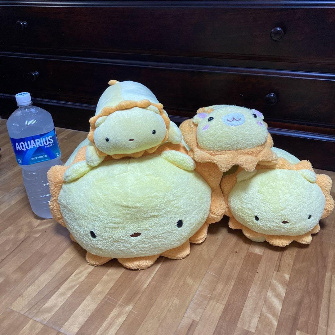 Amazon.co.jp: らいおん ライオン ぬいぐるみ 4体セット 株式会社