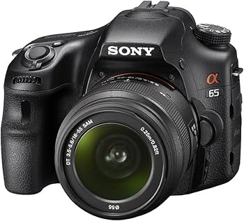 Amazon | SONY ミラーレス一眼 α65 ズームレンズキット DT 18-55mm F3