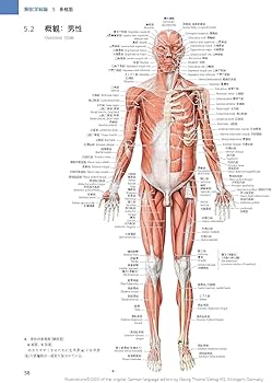 プロメテウス解剖学アトラス 解剖学総論/運動器系 第4版 | 坂井 建雄