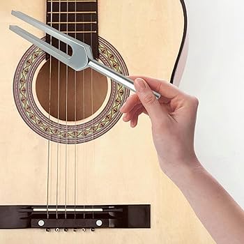 Amazon.co.jp: 癒しのための音叉-432Hzボディ音叉|パーフェクト楽器と