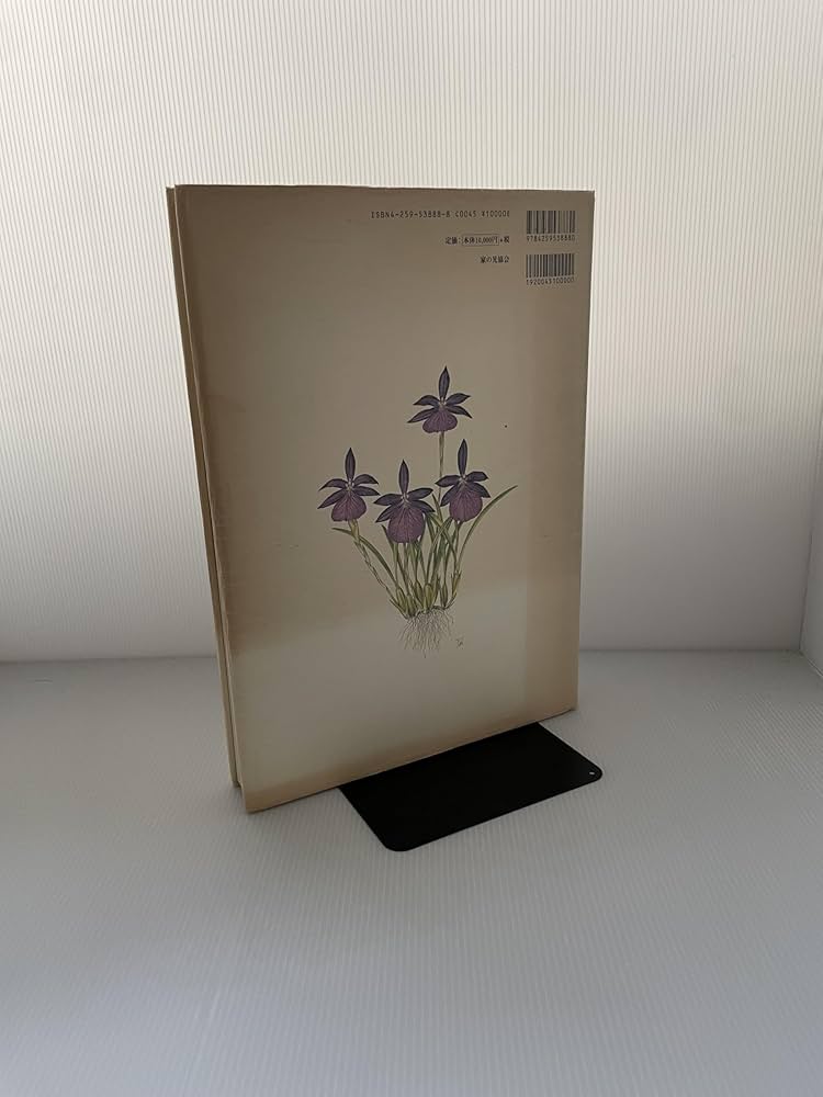 71CNR0GZmfL._AC_UF1000,