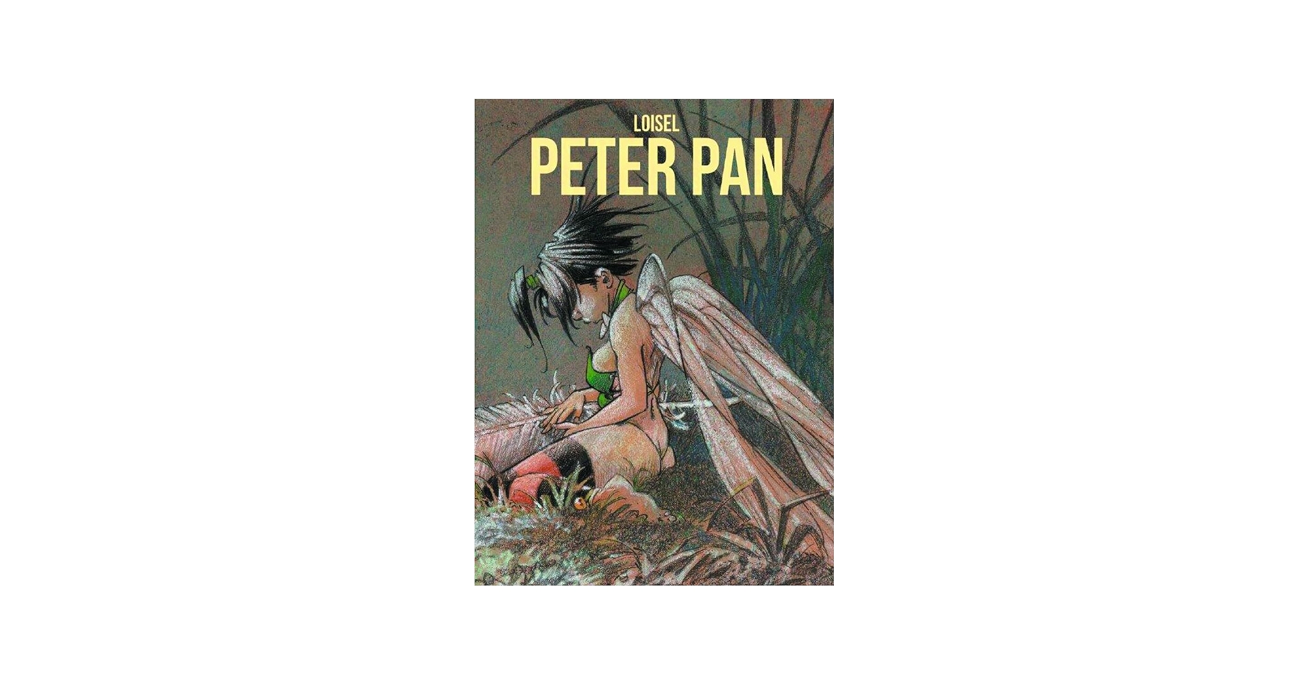 Amazon.com: Peter Pan: 9781908030078: Loisel, Regis, Rossert