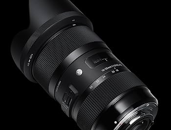 Amazon.com : Sigma 18-35mm F1.8 Art DC HSM Lens for Sony : Camera