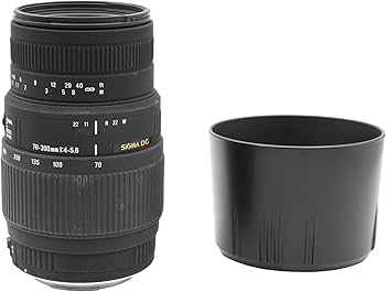 Sigma 70-300mm f/4-5.6 DG Macro Telephoto Zoom Lens for Canon SLR