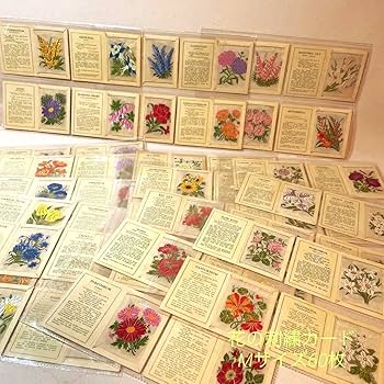 Amazon.co.jp: 花の刺繍のシガレットカード Mサイズ 60枚セット