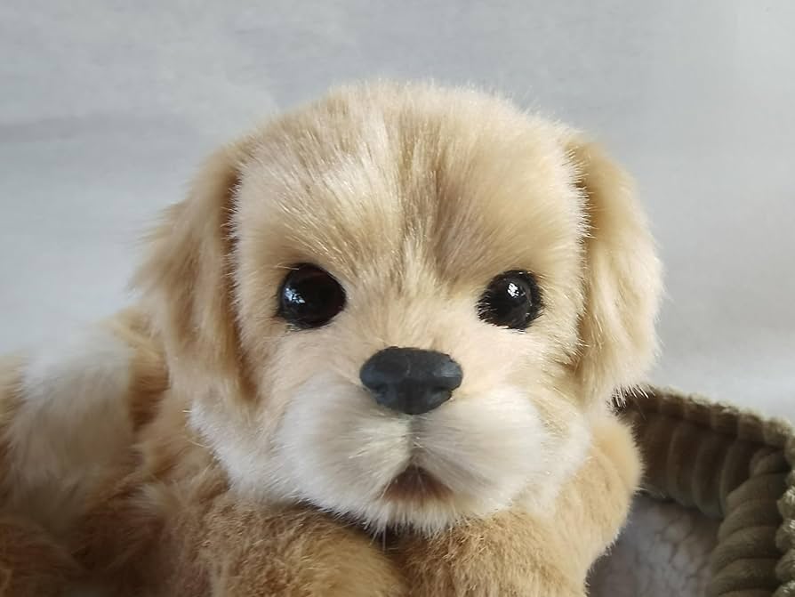 Amazon.co.jp: PawFection Pets ゴールデンレトリバー 犬 リアル 本物