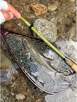 Amazon | ジョインター テンカラフライ36M | ジョインター | トラウト