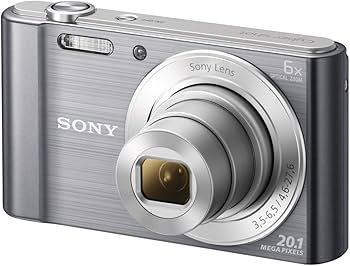 Amazon.com : Sony Cyber-Shot DSCW810 20.1MP Digital Camera