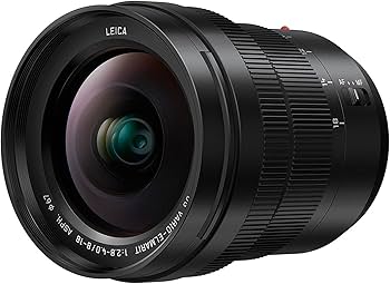 Amazon.com : Panasonic LUMIX Professional 8-18mm Camera Lens, G