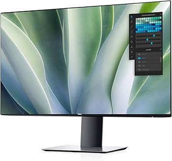 Amazon.com: Dell Ultrasharp U2719DX 27-Inch WQHD 2560x1440