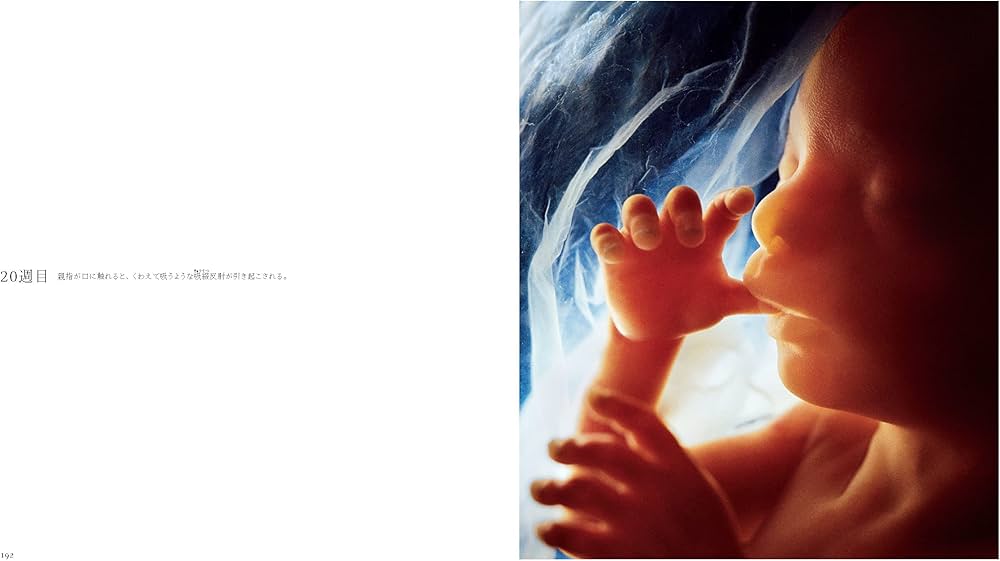 A Child is Born 赤ちゃんの誕生 | レナルト・ニルソン, ラーシュ