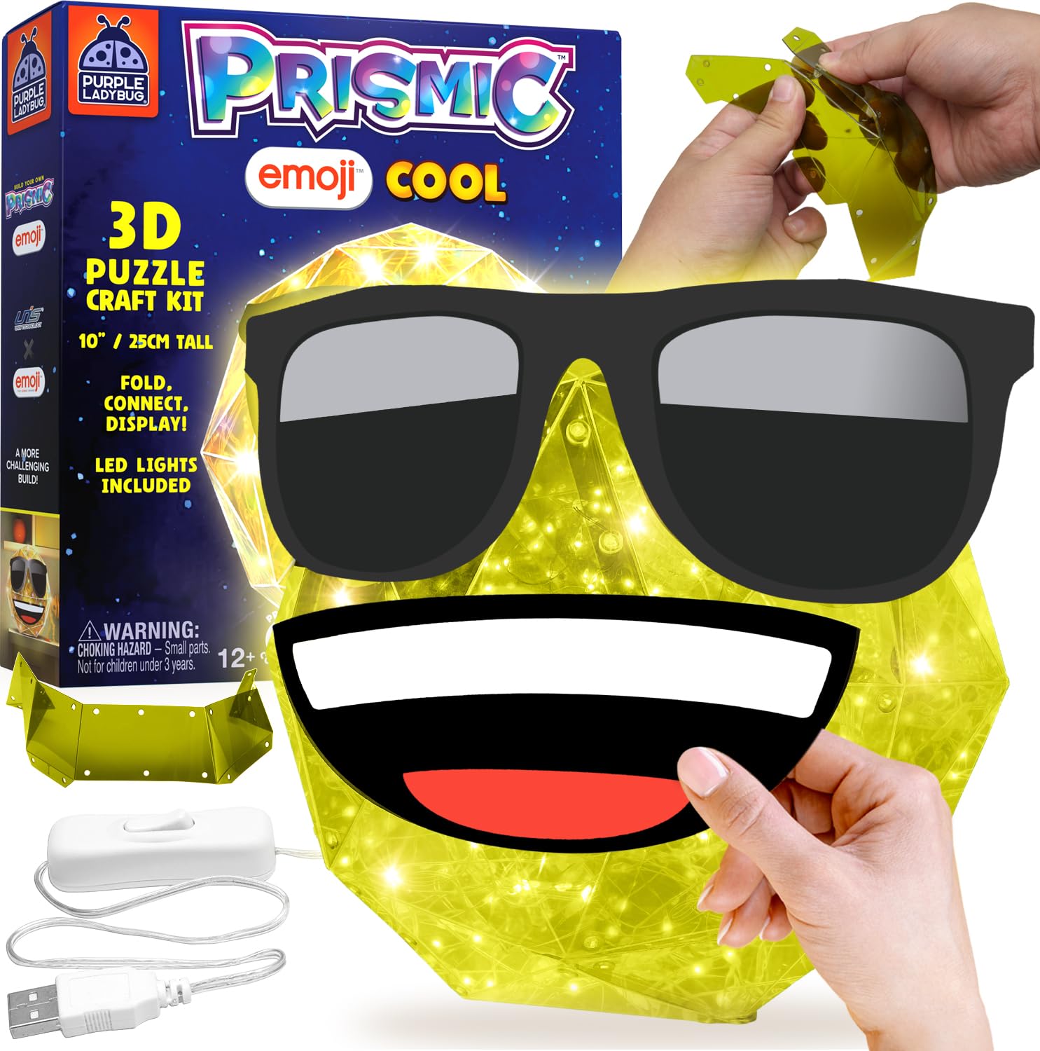 PURPLE LADYBUG PRISMIC Emoji Cool 3D Puzzle Craft Kit - Light-Up
