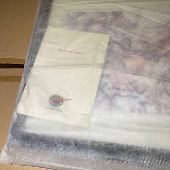 Amazon.co.jp: 版画 てぃんくる ミクスドメディア アールビバン株式