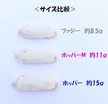 Amazon | 冷凍マウス リタイア 10匹 国産 SAfarm | SAfarm | フード 通販