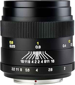 71DnHzY7kkL._AC_UF350,