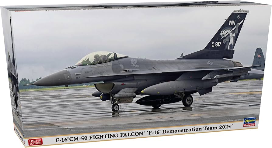 Amazon | ハセガワ 1/48 アメリカ F-16CM-50 ファイティング