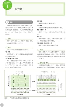 歯科衛生士国家試験ポイントチェック1 人体の構造と機能/歯・口腔の