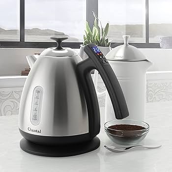 Amazon.com: Chantal Vincent Temperature Control Electric Water
