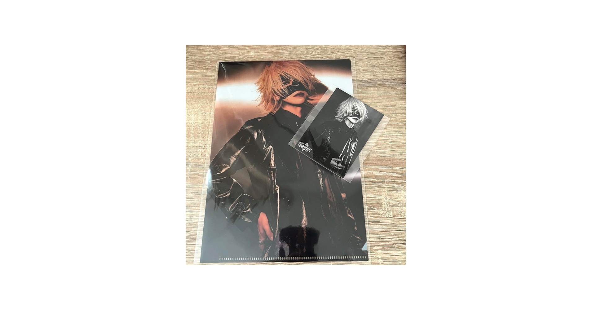 Amazon.co.jp: the GazettE ガゼット れいた REITA クリアファイル