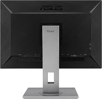 Amazon.com: ASUS ProArt 24