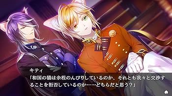 Amazon.co.jp: 軍靴をはいた猫 - Switch : ゲーム