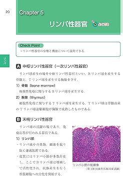 歯科国試パーフェクトマスター 口腔組織・発生学 第2版 | 中村 浩彰
