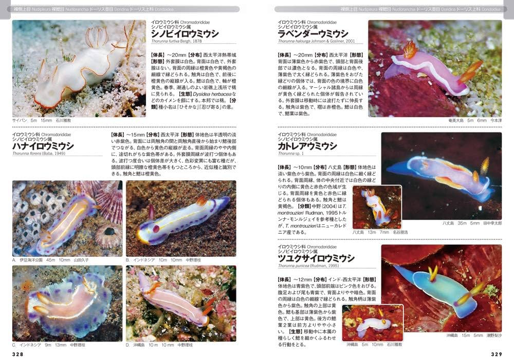 日本のウミウシ 第二版 (ネイチャーガイド) | 中野理枝 |本 | 通販