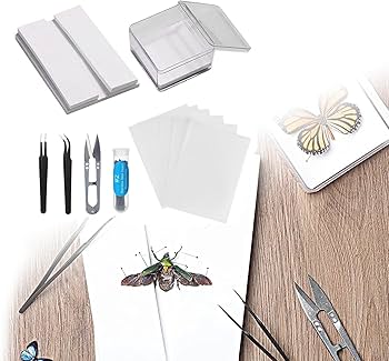 71Ffoi9GlEL._AC_UF350,