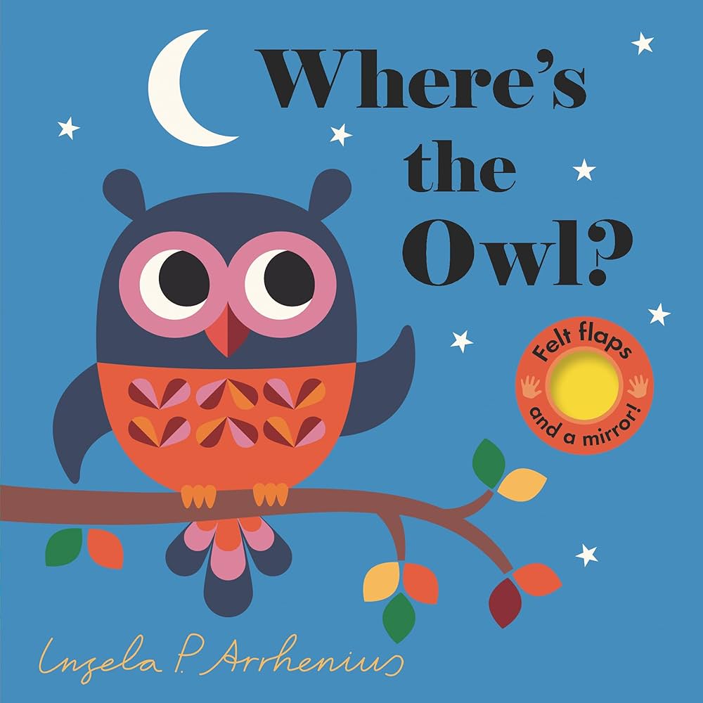 Amazon.com: Where's the Owl?: (An Interactive, Sensory Lift-the