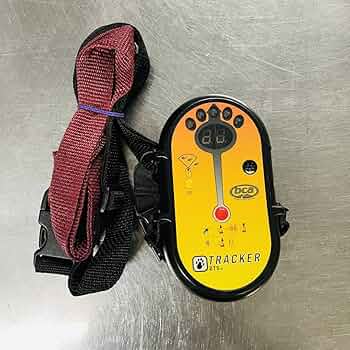 71Guvx+ujTL._AC_UF350,