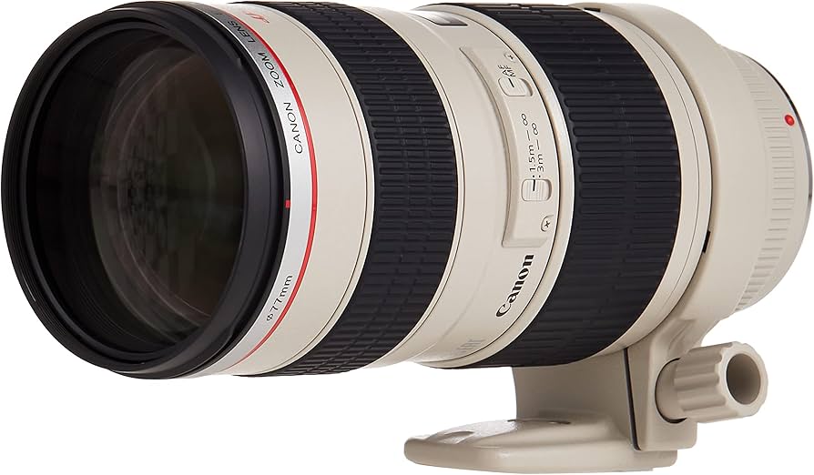Lente Canon Ef 70-200mm F/2.8l Usm Telephoto Zoom Ultrasonic