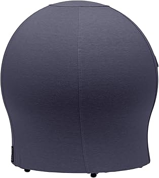 Amazon.co.jp: MAROOMS マルームズ バランスボール チェア 体幹 ヨガ