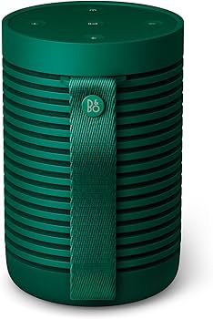 Amazon.com: Bang & Olufsen Beosound Explore - Wireless Portable