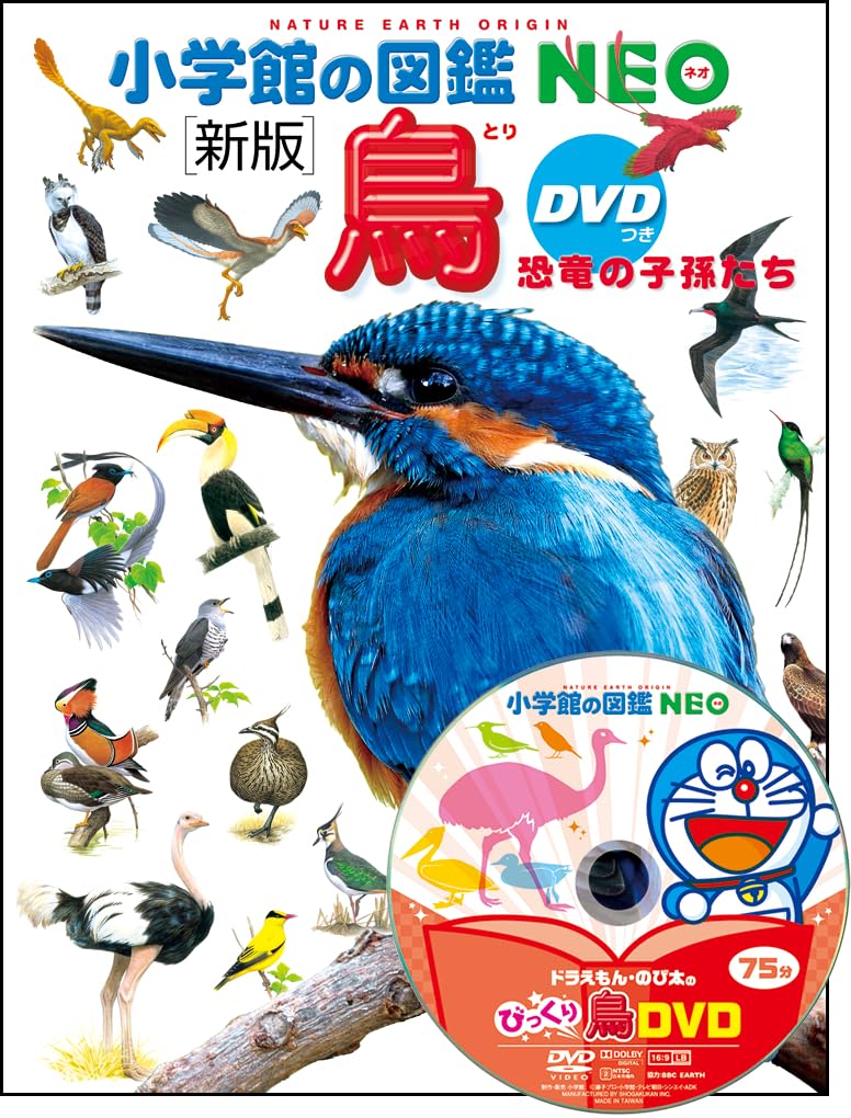 DVD付 新版 鳥 恐竜の子孫たち (小学館の図鑑・NEO) | 上田 恵介 |本