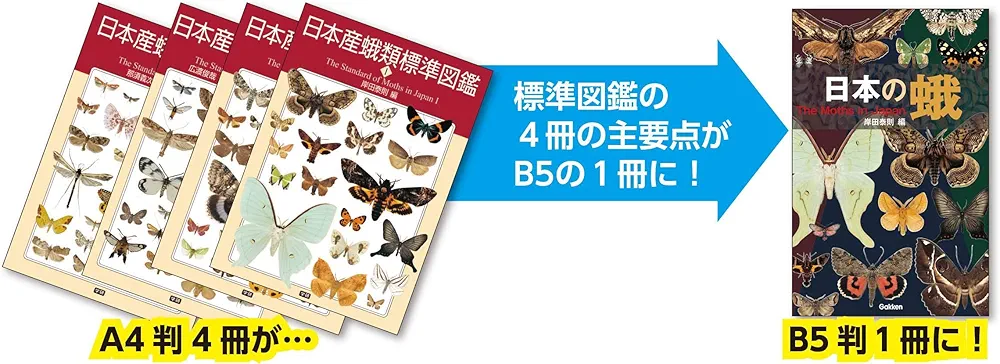 Amazon.co.jp: 日本の蛾 : 岸田泰則: Japanese Books