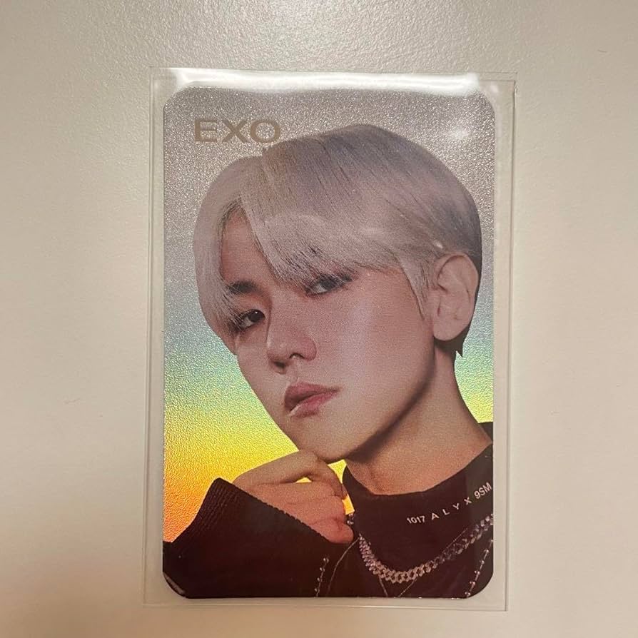 ベッキョン キノトレカ EXO ベッキョン キノ トレカ obsession