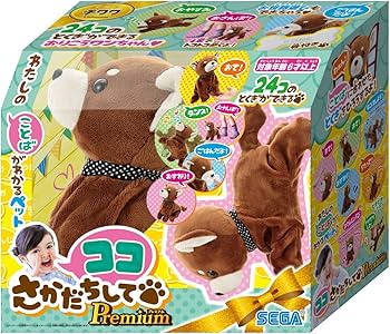 71IAKxASAlL._AC_UF350,