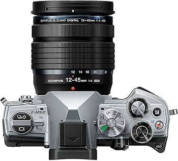 Amazon.com : OM SYSTEM Olympus OM-D E-M5 Mark III Silver Body with