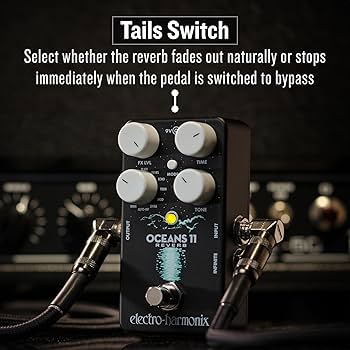 Amazon | electro-harmonix/OCEANS 11 Multifunction Digital Reverb