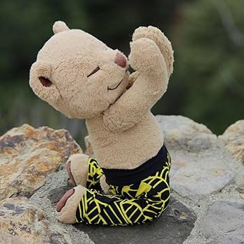 Amazon.co.jp: MeddyTeddy ヨガポージングベア 様々なヨガのポーズを