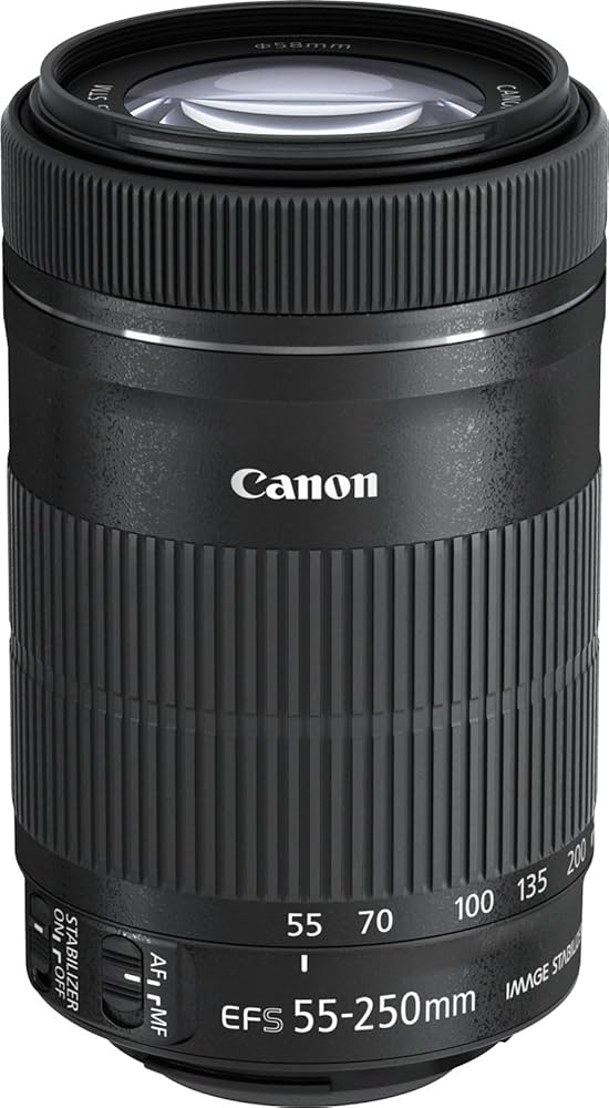 Amazon.com : Canon EF-S 55-250mm f/4-5.6 IS STM Telephoto Zoom