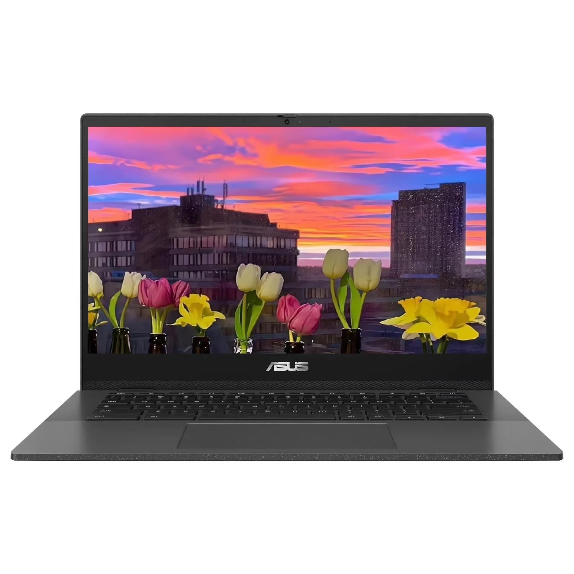 Amazon.com: ASUS Chromebook CM1402 Laptop, 14” FHD (1920 x 1080