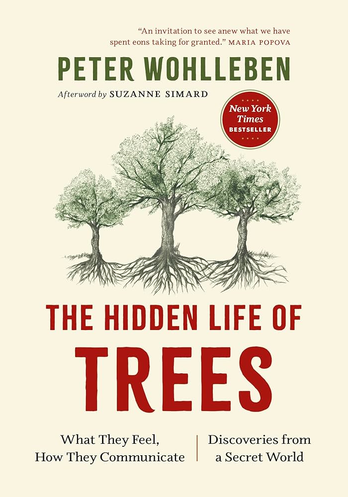 The Hidden Life of Trees: What They Feel, How They Communicate